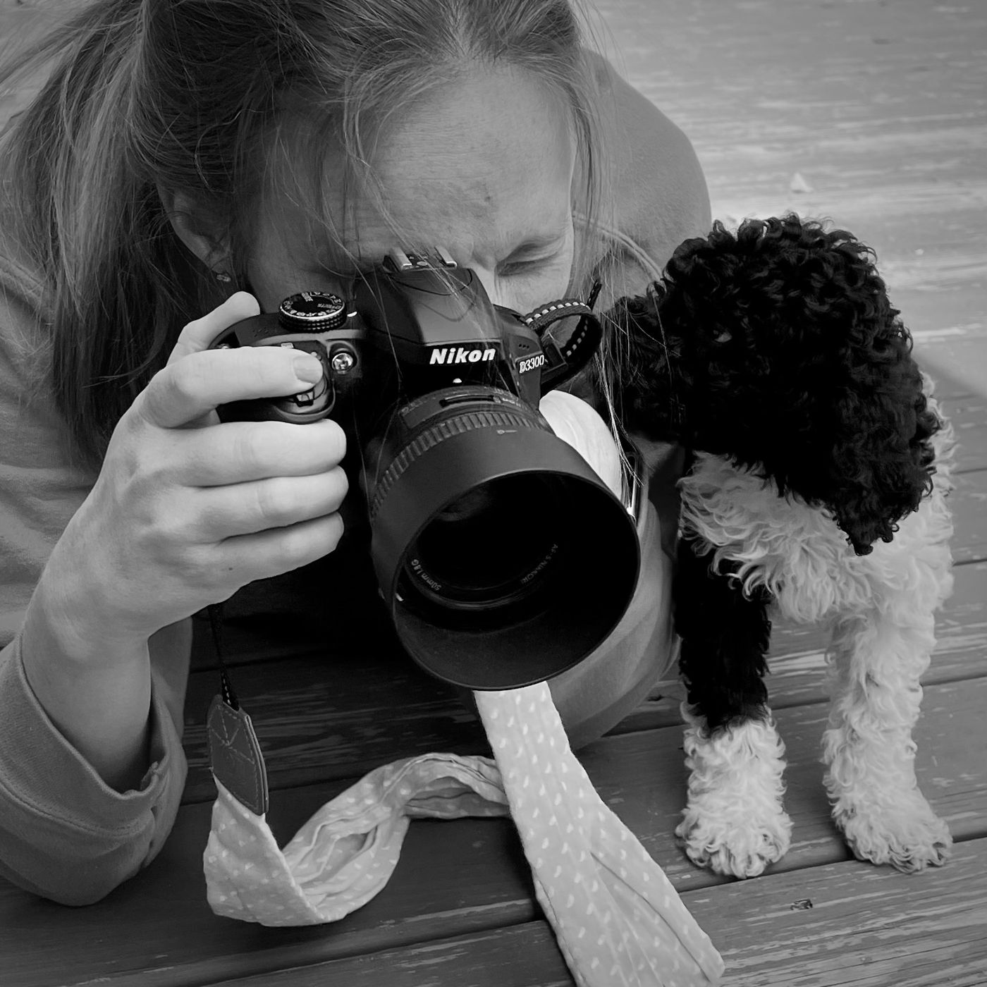 Photographing a puppy