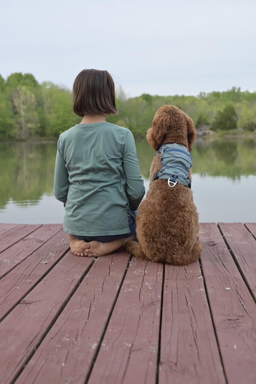 A boy and his poodle on the dock